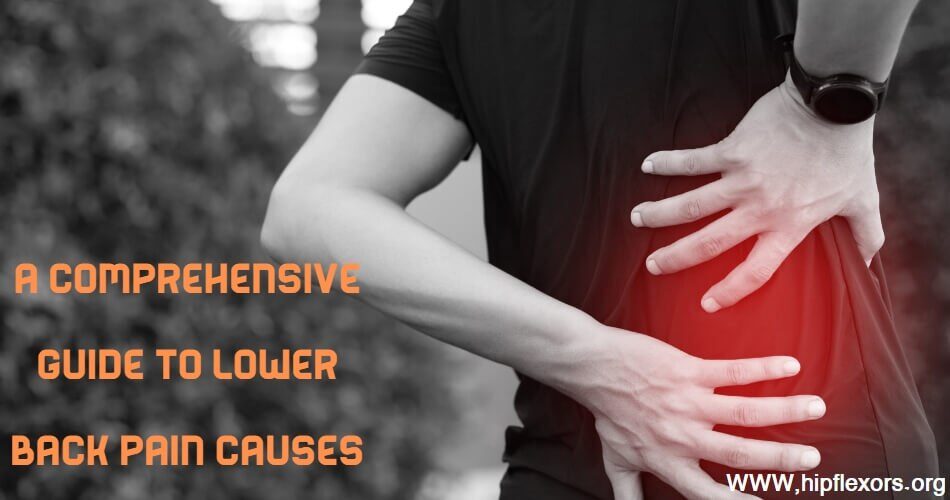 what lower back pain causes